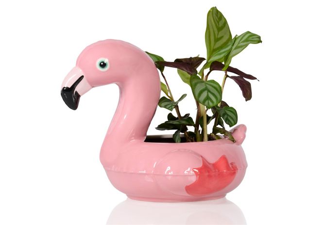 Hovedbilde Floaty Flamingo – blomsterpotte & skål